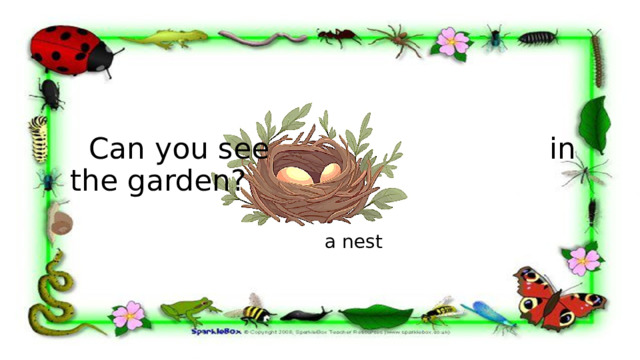  Can you see in the garden? a nest 