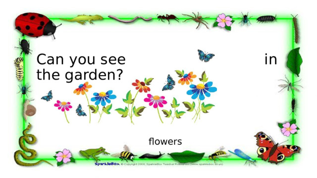 Can you see in the garden? flowers 