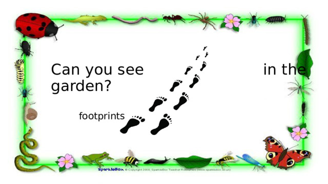 Can you see in the garden? footprints 