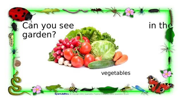 Can you see in the garden? vegetables 