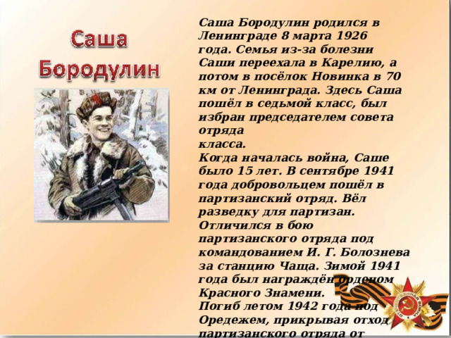 Саша  Бородулин  родился  в  Ленинграде  8 марта  1926  года.  Семья  из- за  болезни Саши  переехала  в  Карелию,  а  потом  в посёлок  Новинка  в  70  км  от  Ленинграда. Здесь  Саша  пошёл  в  седьмой  класс,  был избран  председателем  совета  отряда класса. Когда  началась  война,  Саше  было  15  лет. В сентябре  1941  года  добровольцем  пошёл  в партизанский  отряд.  Вёл  разведку  для партизан.  Отличился  в  бою партизанского  отряда  под  командованием И.  Г.  Болознева  за  станцию  Чаща.  Зимой 1941  года  был  награждён  орденом  Красного Знамени. Погиб  летом  1942  года  под  Оредежем, прикрывая  отход  партизанского  отряда от  наступавших  карателей.  Посмертно награждён  вторым  орденом  Красного Знамени. 