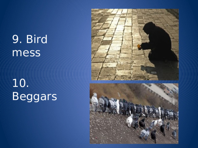 9. Bird mess 10. Beggars 