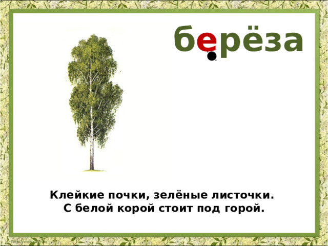 б е рёза Клейкие почки, зелёные листочки. С белой корой стоит под горой. 