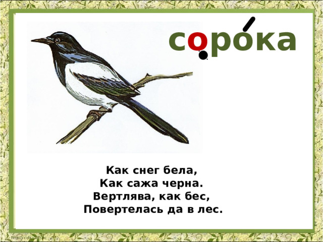 с о рока Как снег бела, Как сажа черна. Вертлява, как бес, Повертелась да в лес. 