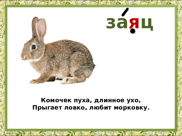 за я ц Комочек пуха, длинное ухо,  Прыгает ловко, любит морковку.   