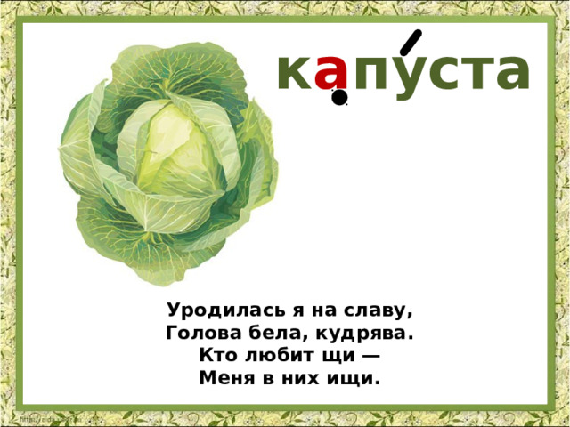 к а пуста Уродилась я на славу,  Голова бела, кудрява.  Кто любит щи —  Меня в них ищи. 