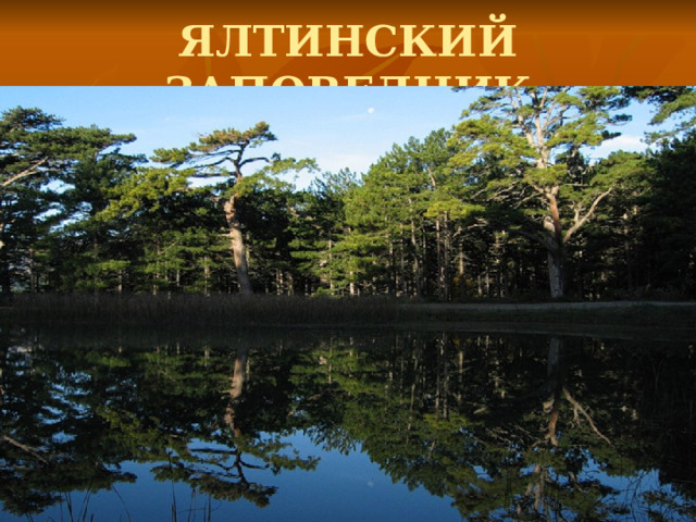 ЯЛТИНСКИЙ ЗАПОВЕДНИК 