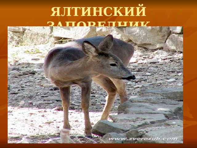 ЯЛТИНСКИЙ ЗАПОВЕДНИК 