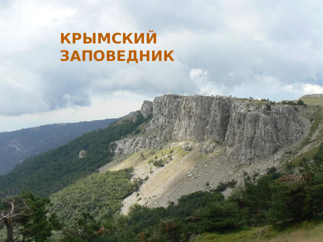 КРЫМСКИЙ ЗАПОВЕДНИК 