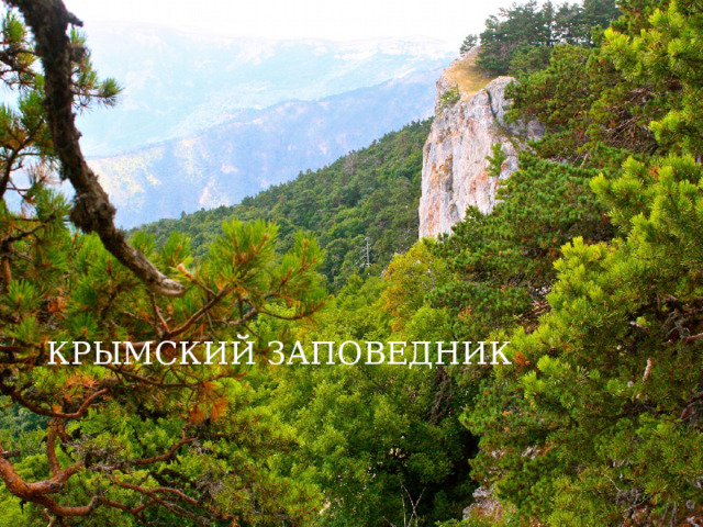КРЫМСКИЙ ЗАПОВЕДНИК 