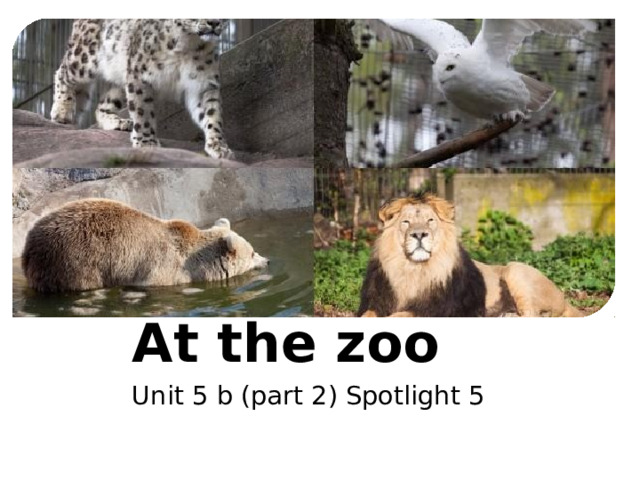 At the zoo Unit 5 b (part 2) Spotlight 5 