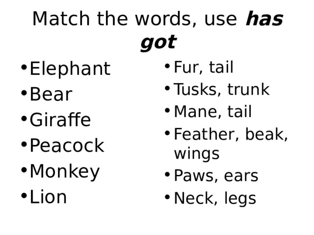 Match the words, use has got Elephant Bear Giraffe Peacock Monkey Lion Fur, tail Tusks, trunk Mane, tail Feather, beak, wings Paws, ears Neck, legs 