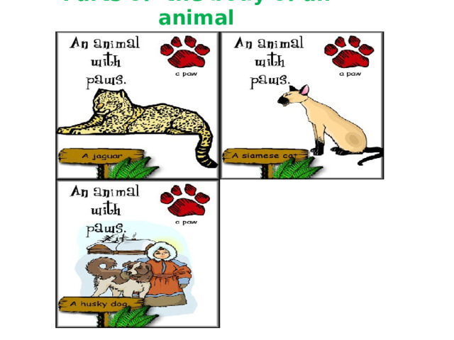Parts of the body of an animal 