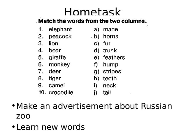 Hometask Make an advertisement about Russian zoo Learn new words 