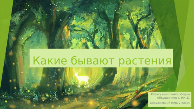 Какие бывают растения Работу выполняла: Софья Абдушарипова, НК-21 Окружающий мир, 2 класс 