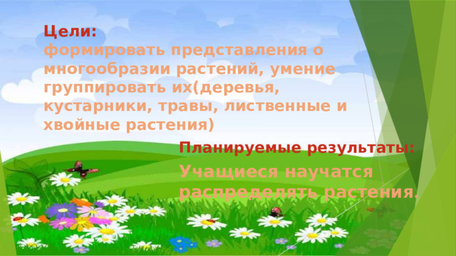 Цели:  формировать представления о многообразии растений, умение группировать их(деревья, кустарники, травы, лиственные и хвойные растения) Планируемые результаты: Учащиеся научатся распределять растения .  