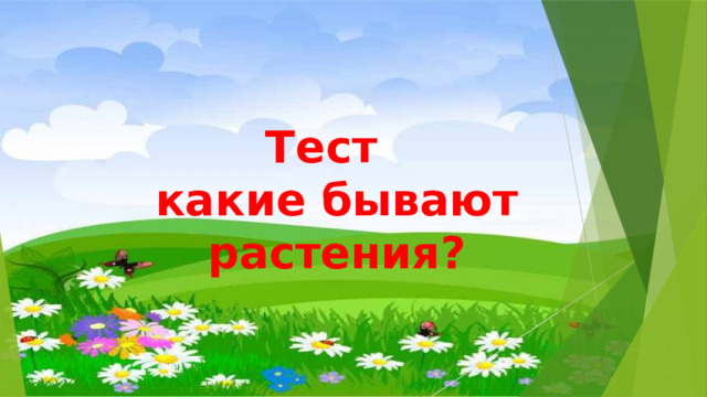 Тест  какие бывают растения? 
