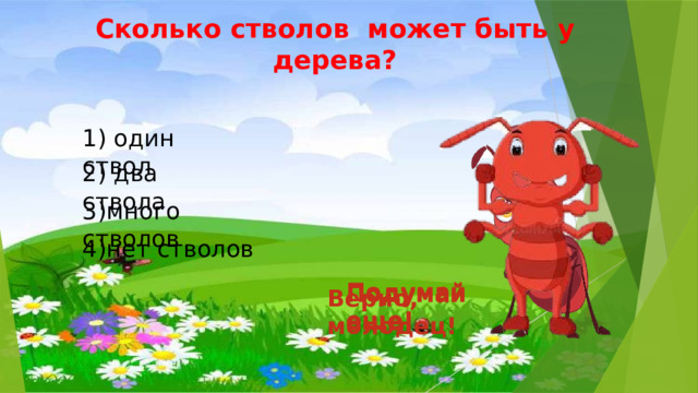 Сколько стволов может быть у дерева? 1) один ствол 2) два ствола 3)много стволов 4)нет стволов Подумай еще! Подумай еще! Подумай еще! Верно, молодец! 