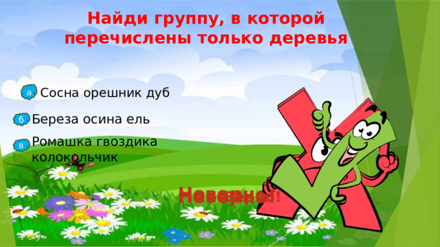 Найди группу, в которой перечислены только деревья Сосна орешник дуб а Береза осина ель б Ромашка гвоздика колокольчик в Неверно! Неверно! Верно!  