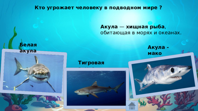 Кто угрожает человеку в подводном мире ? Акула  —  хищная рыба , обитающая в морях и океанах. Белая акула Акула - мако Тигровая акула 