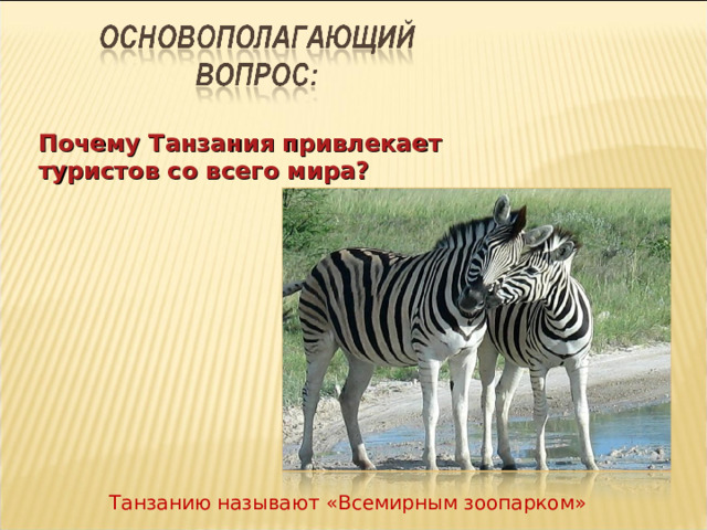 Почему Танзания привлекает туристов со всего мира?  Танзанию называют «Всемирным зоопарком» 