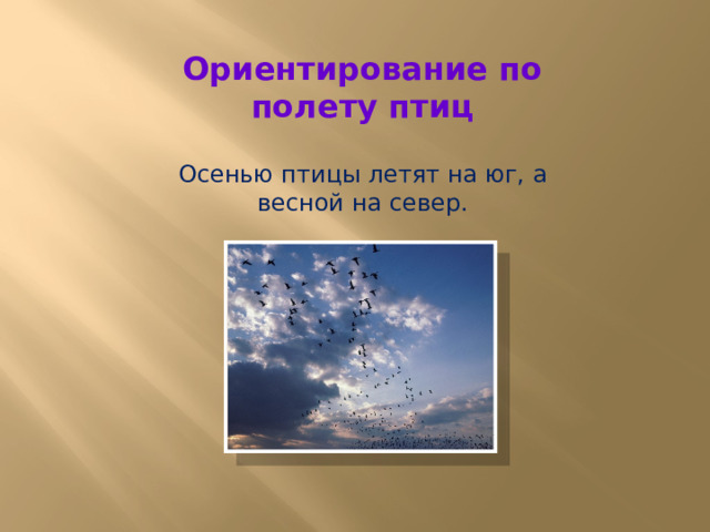 Ориентирование по полету птиц Осенью птицы летят на юг, а весной на север. 