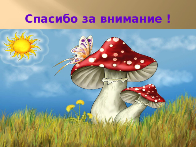 Спасибо за внимание ! 