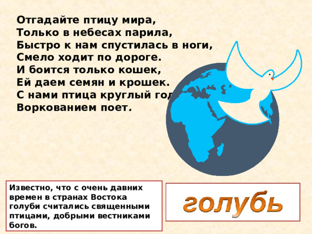 Отгадайте птицу мира,  Только в небесах парила,  Быстро к нам спустилась в ноги,  Смело ходит по дороге.  И боится только кошек,  Ей даем семян и крошек.  С нами птица круглый год,  Воркованием поет . Известно, что с очень давних времен в странах Востока голуби считались священными птицами, добрыми вестниками богов. 