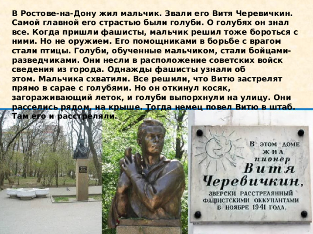 В Ростове-на-Дону жил мальчик. Звали его Витя Черевичкин. Самой главной его страстью были голуби. О голубях он знал все. Когда пришли фашисты, мальчик решил тоже бороться с ними. Но не оружием. Его помощниками в борьбе с врагом стали птицы. Голуби, обученные мальчиком, стали бойцами-разведчиками. Они несли в расположение советских войск сведения из города. Однажды фашисты узнали об этом. Мальчика схватили.  Все решили, что Витю застрелят прямо в сарае с голубями. Но он откинул косяк, загораживающий леток, и голуби выпорхнули на улицу. Они расселись рядом, на крыше. Тогда немец повел Витю в штаб. Там его и расстреляли.  