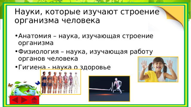 Науки, которые изучают строение организма человека Анатомия – наука, изучающая строение организма Физиология – наука, изучающая работу органов человека Гигиена - наука о здоровье 