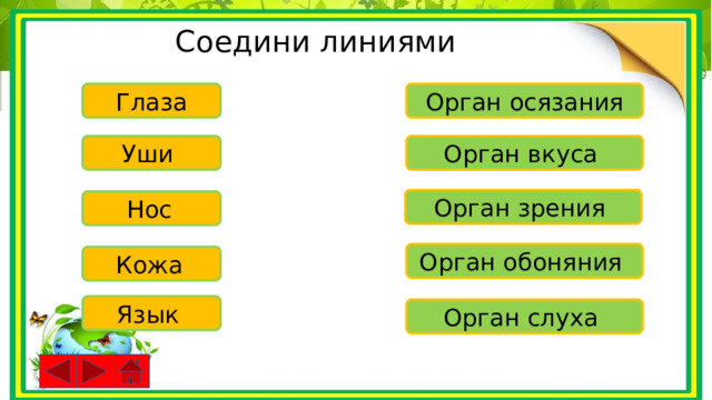 Соедини линиями Глаза Орган осязания Уши  Орган вкуса Орган зрения Нос  Орган обоняния Кожа  Язык  Орган слуха 