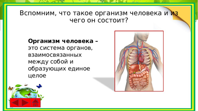 Вспомним, что такое организм человека и из чего он состоит? Организм человека – это система органов, взаимосвязанных между собой и образующих единое целое 