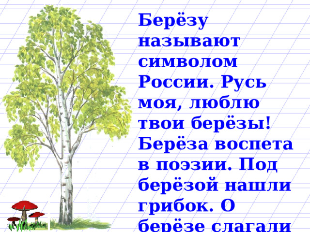 Берёзу называют символом России. Русь моя, люблю твои берёзы! Берёза воспета в поэзии. Под берёзой нашли грибок. О берёзе слагали песни. На берёзах распустились почки. 
