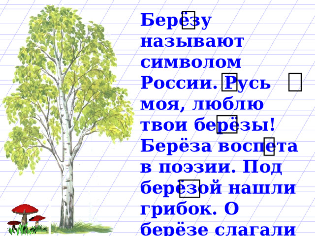 Берёзу называют символом России. Русь моя, люблю твои берёзы! Берёза воспета в поэзии. Под берёзой нашли грибок. О берёзе слагали песни. На берёзах распустились почки. 