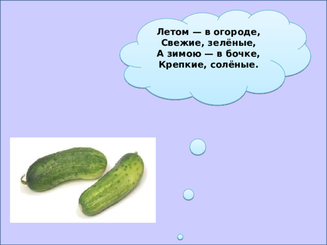 Летом — в огороде,  Свежие, зелёные,  А зимою — в бочке,  Крепкие, солёные.   