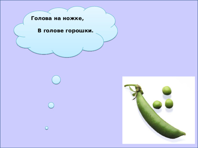Голова на ножке, В голове горошки.   