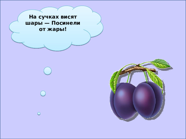 На сучках висят шары — Посинели от жары!   