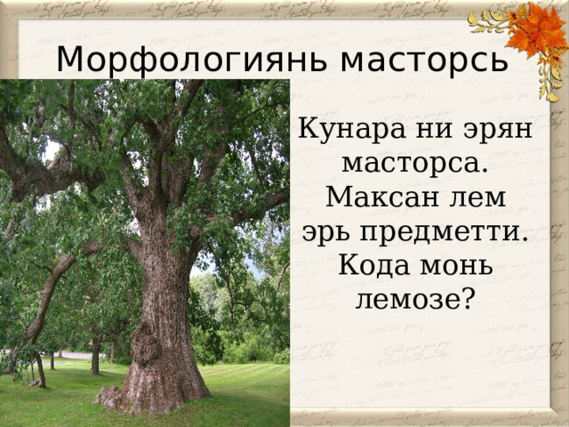 Морфологиянь масторсь Кунара ни эрян масторса. Максан лем эрь предметти. Кода монь лемозе? 