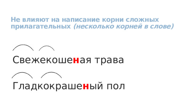 Не влияют на написание корни сложных прилагательных (несколько корней в слове)   Свежекоше н ая трава Гладкокраше н ый пол 