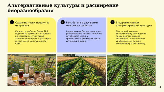  Альтернативные культуры и расширение биоразнообразия  Внедрение сои как азотфиксирующей культуры Роль батата в улучшении сельского хозяйства Создание новых продуктов из арахиса Карвер разработал более 300 изделий из арахиса — от красок до косметики, стимулируя экономический рост и расширяя ассортимент культур на юге США. Выращивание батата позволило разнообразить посевы, повысить устойчивость почв и предоставить фермерам новые источники дохода. Соя способствовала естественному обогащению почвы азотом, снижая потребность в химических удобрениях и улучшая экологическую обстановку. 4 