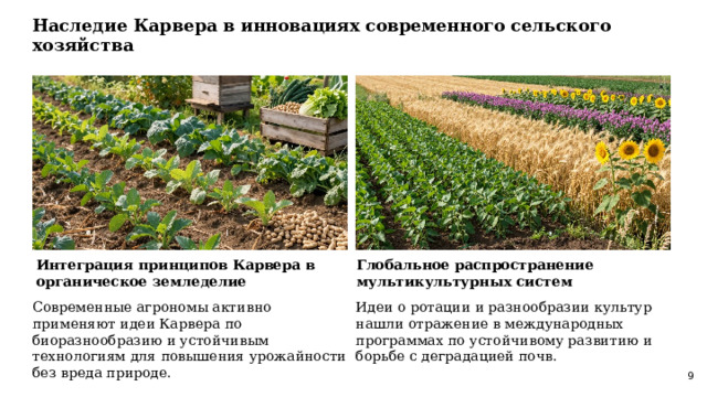  Наследие Карвера в инновациях современного сельского хозяйства  Интеграция принципов Карвера в органическое земледелие  Глобальное распространение мультикультурных систем  Современные агрономы активно применяют идеи Карвера по биоразнообразию и устойчивым технологиям для повышения урожайности без вреда природе. Идеи о ротации и разнообразии культур нашли отражение в международных программах по устойчивому развитию и борьбе с деградацией почв. 9 