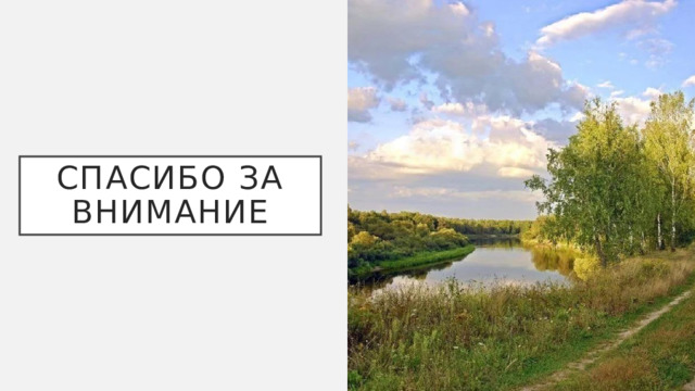 Спасибо за внимание 6 