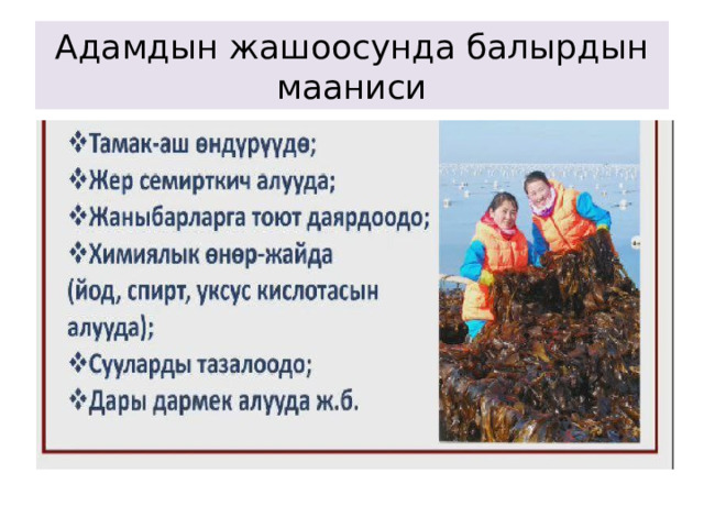Адамдын жашоосунда балырдын мааниси 