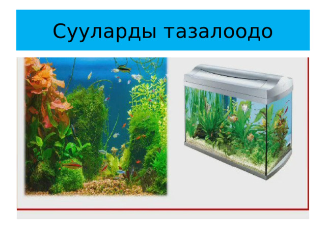 Сууларды тазалоодо 