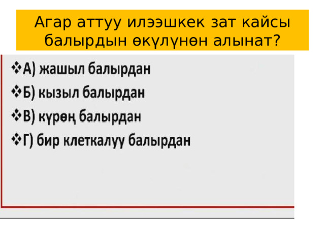 Агар аттуу илээшкек зат кайсы балырдын өкүлүнөн алынат? 