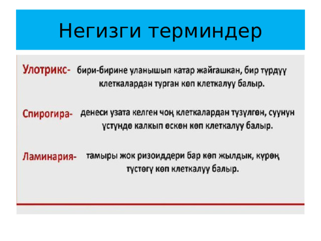 Негизги терминдер 