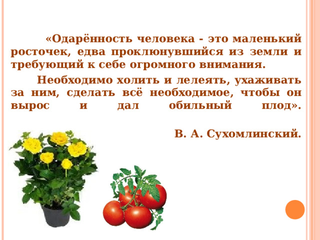  «Одарённость человека - это маленький росточек, едва проклюнувшийся из земли и требующий к себе огромного внимания.  Необходимо холить и лелеять, ухаживать за ним, сделать всё необходимое, чтобы он вырос и дал обильный плод».   В. А. Сухомлинский. 