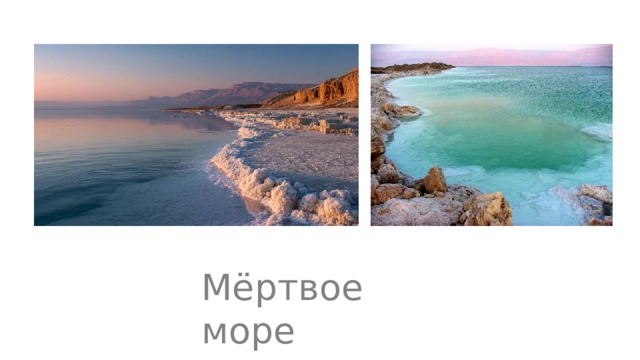 Мёртвое море 