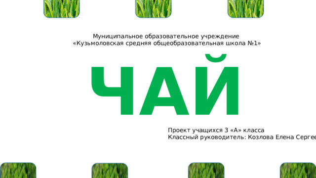 Муниципальное образовательное учреждение «Кузьмоловская средняя общеобразовательная школа №1» ЧАЙ Проект учащихся 3 «А» класса Классный руководитель: Козлова Елена Сергеевна 