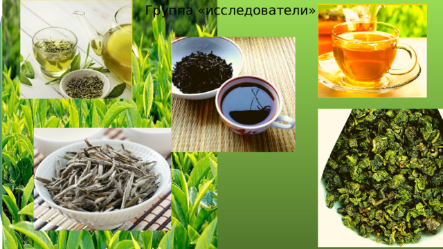 Группа «исследователи» 
